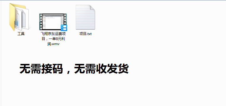 飞翔京东运费险网赚项目录制完毕,一天可弄几十单的图片 京东运费险