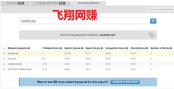YouTube视频SEO排名技巧,如何能让视频获得更好的排名的图片 第15张 YOUTOBE视频SEO排名技术 第15张