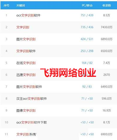 网站售卖文字识别软件 可日赚几百项目的图片 第2张 卖软件赚钱 第2张