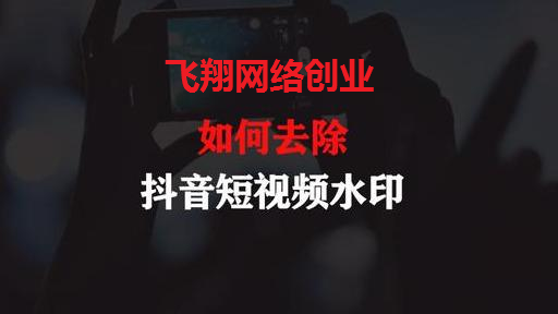 抖音电影搬运网赚项目,搬运赚钱适合零基础小白的图片 第6张 搬运赚钱 第6张