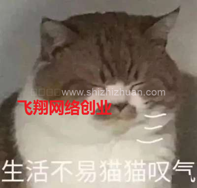 养猫赚钱到底是真是假,养猫赚钱背后的陷阱的图片 第1张 养猫赚钱 第1张