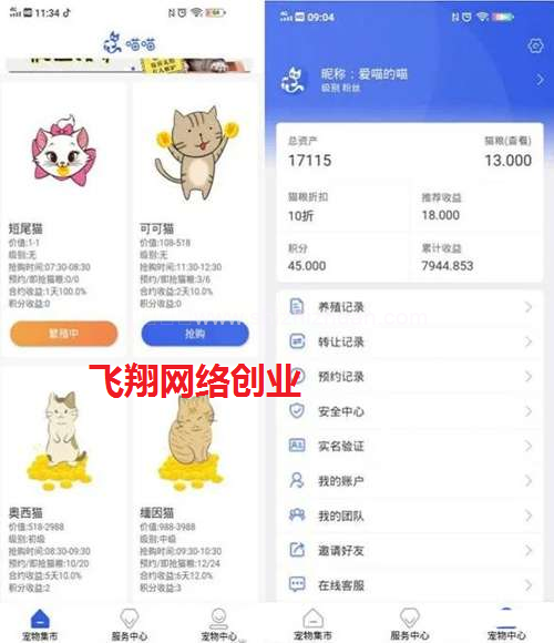 养猫赚钱到底是真是假,养猫赚钱背后的陷阱的图片 第2张 养猫赚钱 第2张