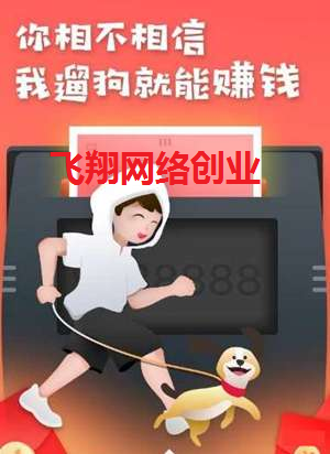 养猫赚钱到底是真是假,养猫赚钱背后的陷阱的图片 第4张 养猫赚钱 第4张