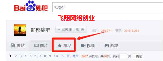 利用QQ群进行精准用户引流营销的图片 第17张 QQ群引流 第17张