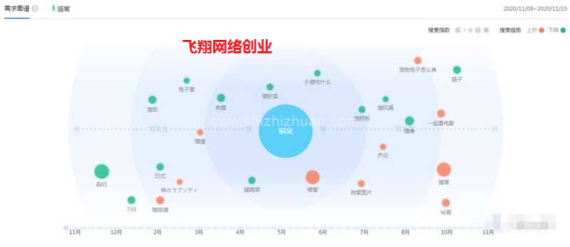 蓝海细分市场-依靠宠物用品日赚几百的图片 第2张 蓝海细分市场 第2张