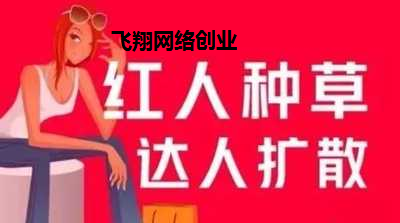 小红书引流赚钱项目,适合新手的副业项目的图片 第1张 小红书引流 第1张