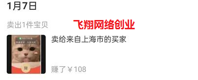 闲鱼出售另类虚拟服务赚钱的图片 第2张 闲鱼赚钱 第2张