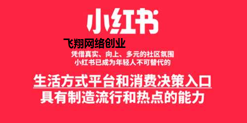 小红书带货种草赚钱,2021年流量风口的图片 第1张 小红书带货 第1张