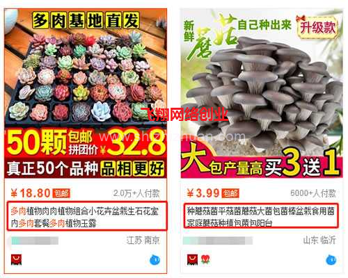 闲鱼赚钱实操攻略,从账号到选品发布的全方位解读的图片 第10张 闲鱼赚钱 第10张