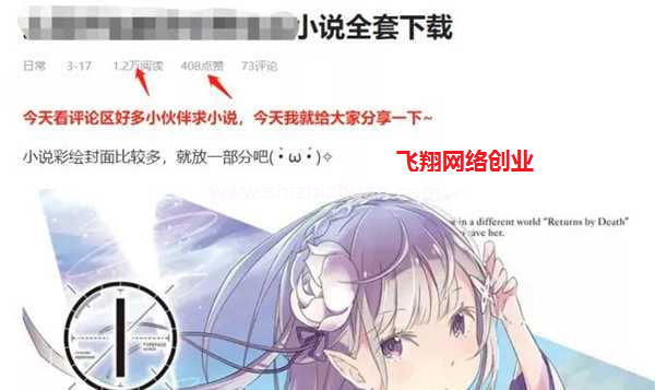 哔哩哔哩B站高权重排名做轻小说赚钱,流量大的图片 第3张 小说赚钱 第3张