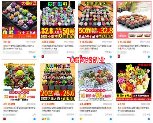 闲鱼赚钱实操攻略,从账号到选品发布的全方位解读的图片 第4张 闲鱼赚钱 第4张