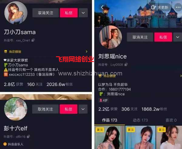 抖音美女号快速赚钱变现方法的图片 第2张 美女号赚钱 第2张