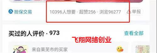 闲鱼无货源卖货赚钱课程,月出几百单的图片 第3张 闲鱼卖货 第3张