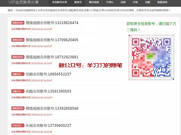 靠谱副业小项目-账号共享网赚钱变现的几种模式的图片 第1张 副业项目 第1张