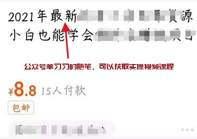 揭秘淘宝京东拼多多电商平台维权项目的图片 第2张 维权项目 第2张