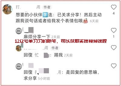 小红书上出售虚拟教师考试资料,月赚几千元的图片 第9张 小红书出售虚拟资料 第9张