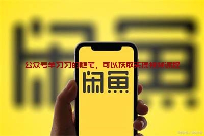 2022闲鱼无货源赚钱教程,新手小白快速入门课程的图片 第1张 闲鱼无货源 第1张