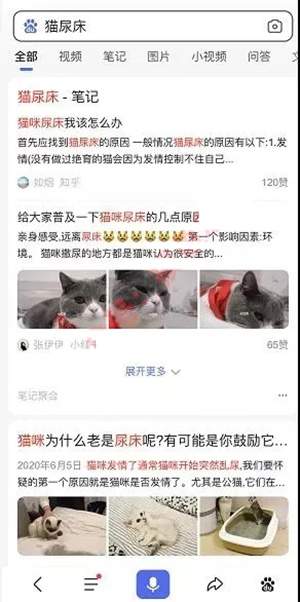 解决宠物乱尿尿的痛点,利用知乎等平台月赚数万的图片 第2张