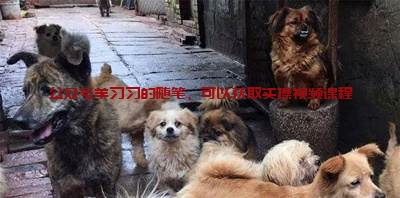 揭秘利用大众爱心,同情心去大肆敛财的偏门项目的图片 第2张 偏门项目 第2张