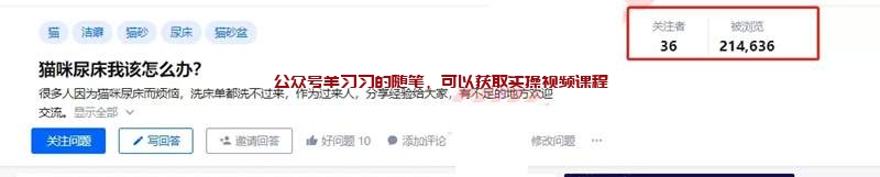 解决宠物乱尿尿的痛点,利用知乎等平台月赚数万的图片 第4张