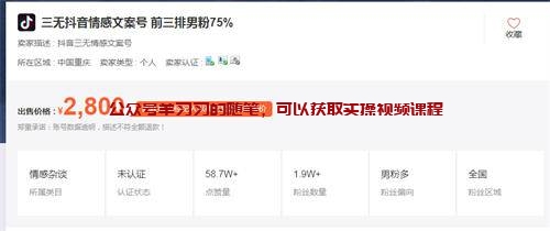 抖音文案号副业项目,流量大,适合新手小白赚钱的图片 第9张 文案号赚钱 第9张