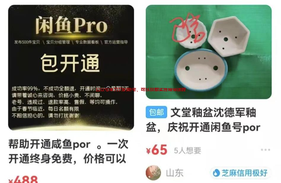 闲鱼pro卖家如何开通,闲鱼开通pro账号方法教程的图片 第1张 闲鱼pro开通方法 第1张