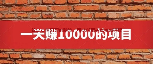 微信群群推赚钱项目,可日引流200精准流量的图片 微信群推赚钱