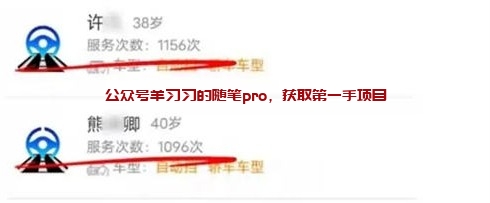 老司机陪练副业,同城引流获客一单300+的图片 第2张 同城引流 第2张