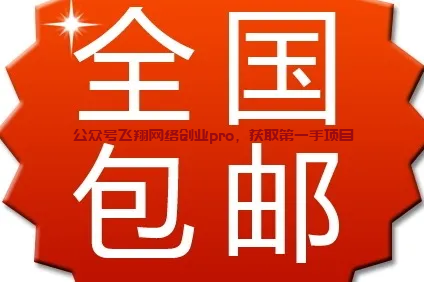 拼多多低价产品3元包邮,商家月赚过万的图片 3元包邮