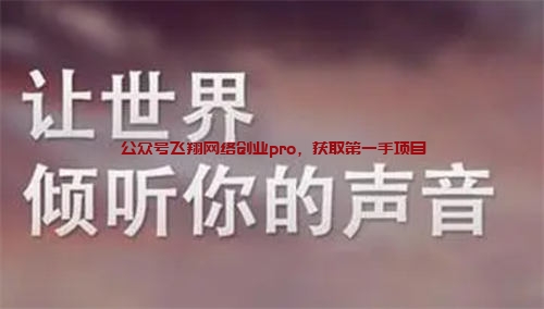 4种长期引流的小方法,引流永不过时的图片 第2张 引流方法 第2张