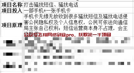 飞翔春节后的项目推出计划的图片 第3张 项目 第3张