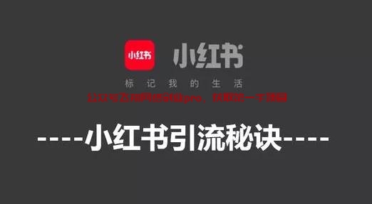 小红书另类引流方法,低成本方案的图片 小红书另类引流方法