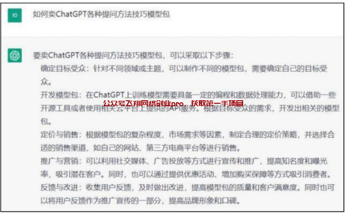 ChatGpt延伸出来的10个副业赚钱项目的图片 第5张 ChatGpt赚钱 第5张