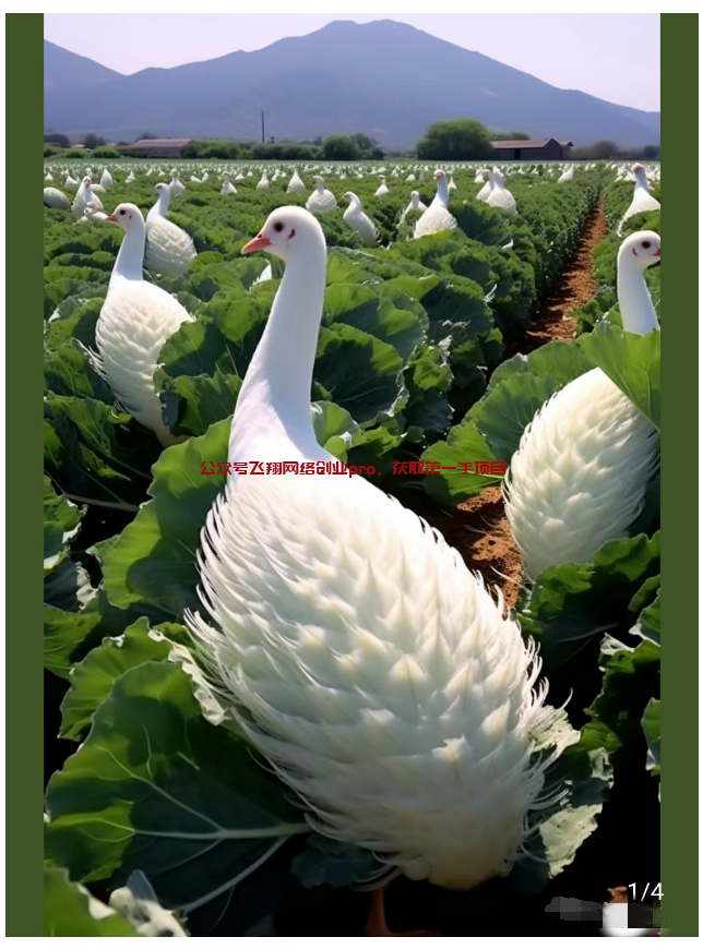 公众号流量主项目,结合AI阅读量火爆的图片 第2张 公众号流量主 第2张