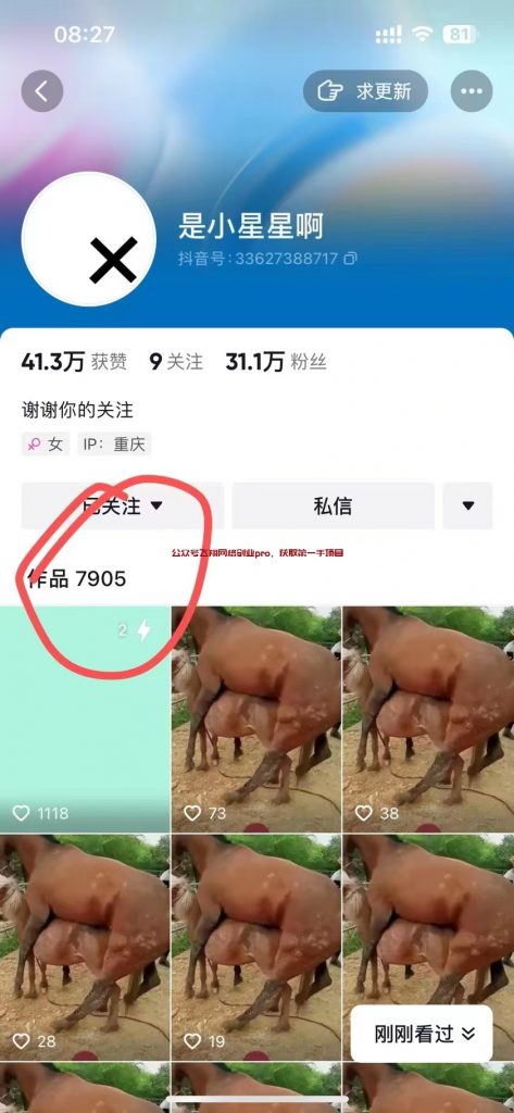 抖音最新连怼几万个作品技术的图片 第2张 抖音连怼 第2张