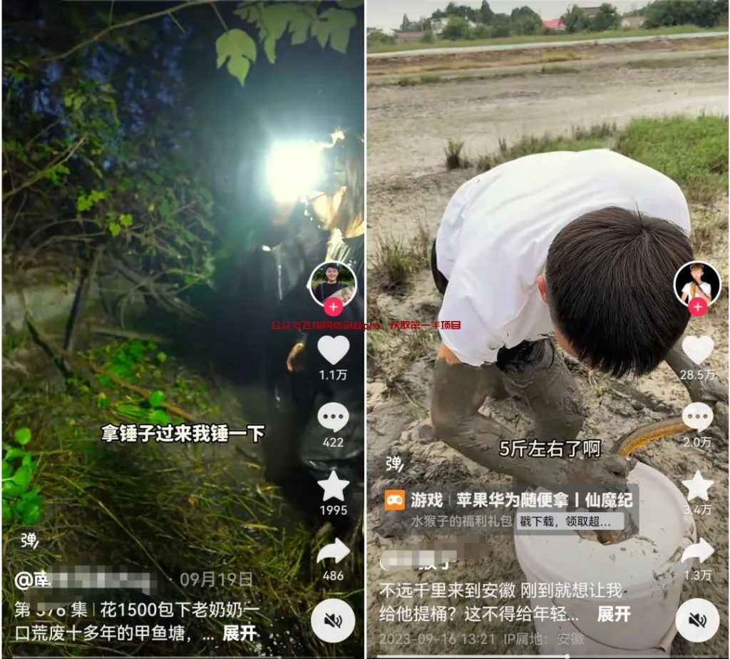 三农赛道摸鱼抓泥鳅视频玩法,流量大,容易爆的图片 第2张 三农赛道 第2张