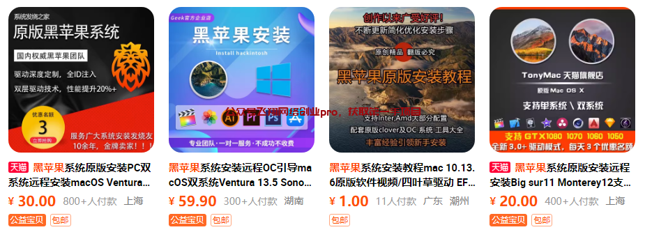 5类虚拟服务,简单粗暴,日赚过千的图片 第4张 虚拟服务 第4张