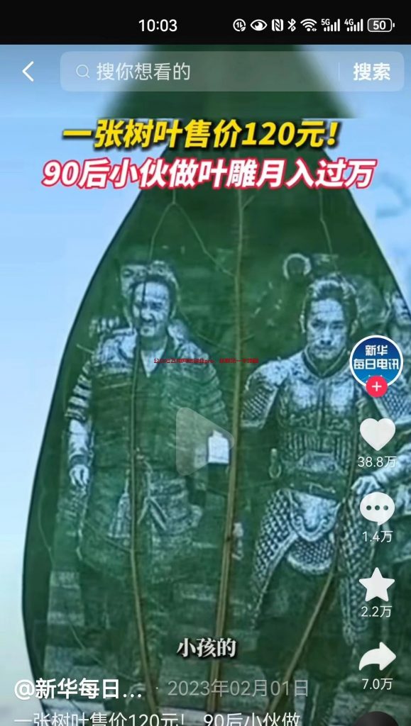 叶雕项目,直播1-2小时,利润800+的图片 第2张 叶雕项目 第2张