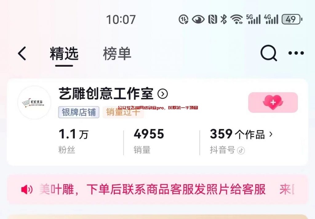 叶雕项目,直播1-2小时,利润800+的图片 第3张 叶雕项目 第3张