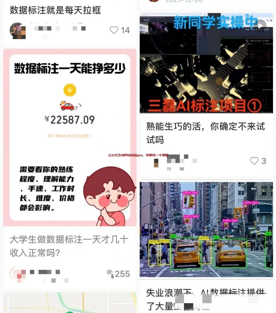 外面几千块加盟的数据标注,附带资源的图片 第1张 数据标注 第1张