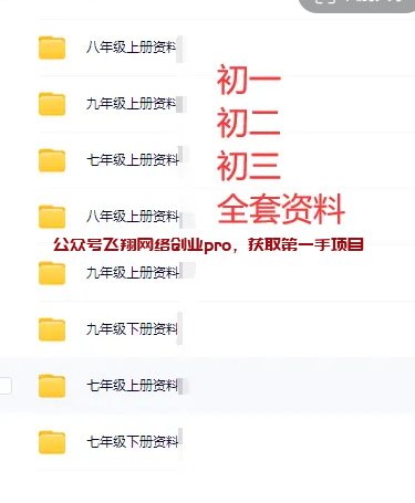 虚拟资料不侵权玩法,一年多挣20W的图片 第12张 虚拟资料不侵权 第12张