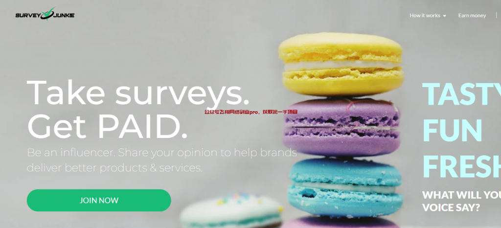 国外调查赚美金,盘点几个长期网站的图片 第1张 国外调查赚美金 第1张