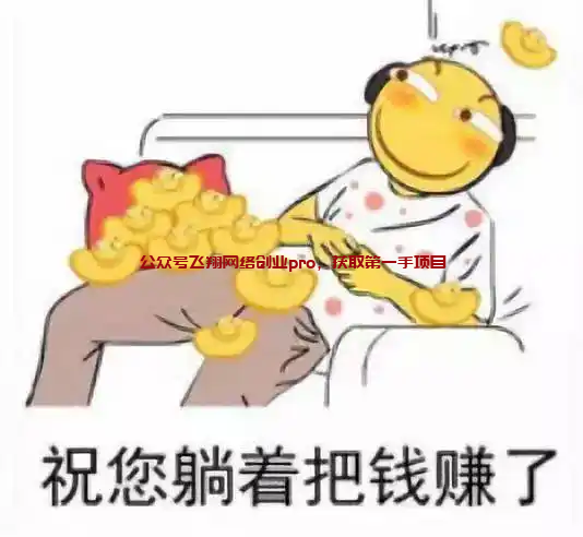 他花了80W学了几个躺赚被动收入项目的图片 躺赚