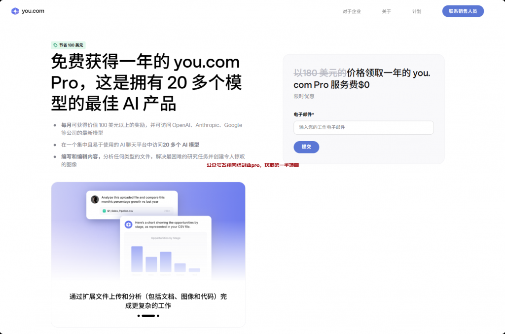 YOU AI PRO免费撸羊毛,淘宝售价1600元的图片 第1张 撸羊毛 第1张