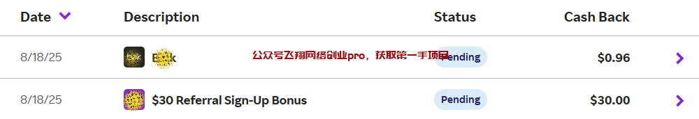 国外返利网拉新,一个拉新30-60美金的图片 第6张 国外拉新 第6张